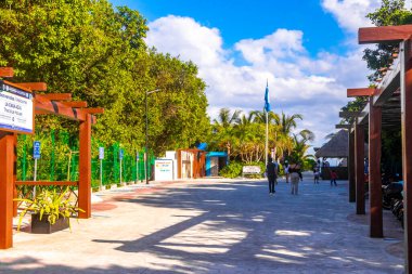 Doğal Karayipler sahil bilgi panosu Palapa kulübesi hoş geldin. Palapa kulübesi, orman palmiye ağaçları ve Playa del Carmen Meksika 'daki tropik Meksika plajına giden yol..