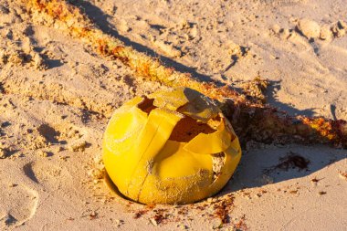 Güzel mavi ve turkuaz su dalgaları okyanus sahili kumsalı ve sarı şamandıra şamandıraları Quintana Roo Mexico 'daki Playa del Carmen' in sularında halat ve ağlar..