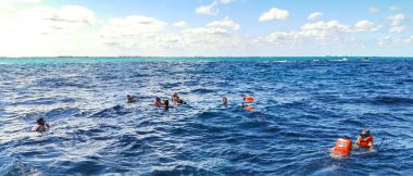 Cancun Quintana Roo Meksika 24. Ocak 2022 Cancun Quintana Roo Mexico 'daki Mujeres Adası' nda açık denizde yüzen insanlar.