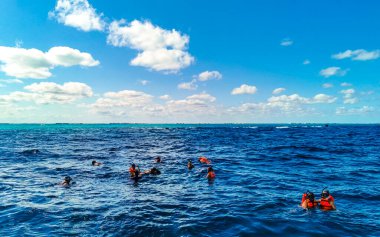 Cancun Quintana Roo Meksika 24. Ocak 2022 Cancun Quintana Roo Mexico 'daki Mujeres Adası' nda açık denizde yüzen insanlar.