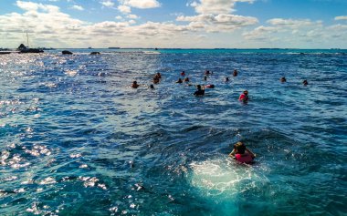 Cancun Quintana Roo Meksika 24. Ocak 2022 Cancun Quintana Roo Mexico 'daki Mujeres Adası' nda açık denizde yüzen insanlar.