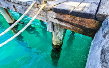 Cancun Quintana Roo Mexico 'daki Mujeres Adası' ndaki turkuaz suda fazla gelişmiş tahta direkli sütun..