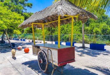 Playa del Carmen Meksika 'da araba kullanabilen tropikal meyve suyu dükkanı