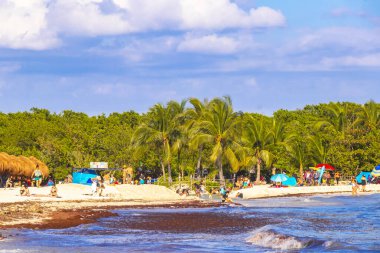 Çok eğlenceli insanlarla dolu tropik Meksika Karayip plajı ve denizi. Güneş şemsiyeleri. Playa del Carmen Meksika 'da turkuaz palmiye suyu..