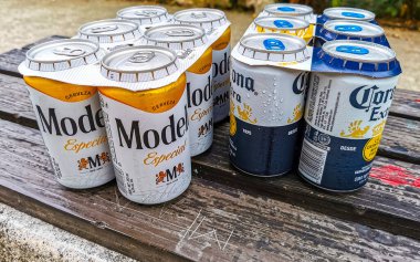 Corona ve Modelo Meksika bira şişeleri Playa del Carmen Quintana Roo Meksika 'daki buzdolabı barda ya da restoranda altı kutu yiyecek ve içecek sunabilir..