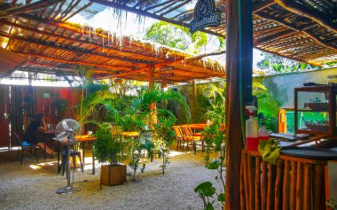 Playa del Carmen Quintana Roo Mexico 'da masa sandalyeleri dekorasyon masası ve bitkilerle dolu bir restoran barının içinde..