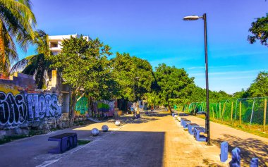 Palmiye ağaçlarıyla dolu sıradan sokak ve şehir manzarası mimari banklar ve Meksika 'daki Luis Donaldo Colosio Playa del Carmen' in duvar resimleri..