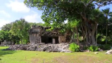 Xaman Ha Maya arkeolojik inşaat tapınakları Playacar Playa del Carmen Quintana Roo 'daki kireçtaşı kaya taşlarından yapılmış binalar..