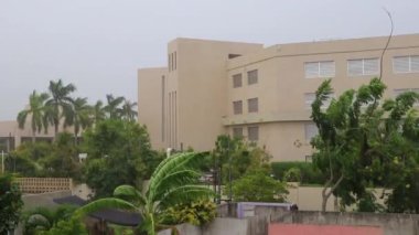 Playa del Carmen Quintana Roo Mexico 19. 2021 Ağustos Kasırgası 2021 Şiddetli rüzgar ve gök gürültülü fırtınalar yıkıma ve yıkıma neden oldu. Ağaçlar, palmiye ağaçları, arabalar, çatılar..