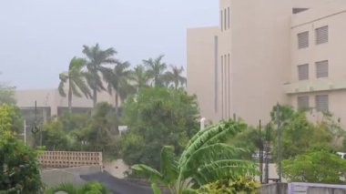 Playa del Carmen Quintana Roo Mexico 19. 2021 Ağustos Kasırgası 2021 Şiddetli rüzgar ve gök gürültülü fırtınalar yıkıma ve yıkıma neden oldu. Ağaçlar, palmiye ağaçları, arabalar, çatılar..