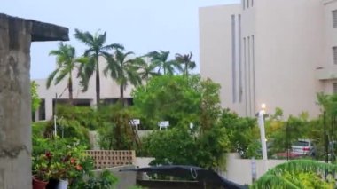 Playa del Carmen Quintana Roo Mexico 19. 2021 Ağustos Kasırgası 2021 Şiddetli rüzgar ve gök gürültülü fırtınalar yıkıma ve yıkıma neden oldu. Ağaçlar, palmiye ağaçları, arabalar, çatılar..