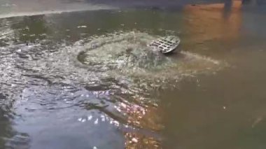 Şiddetli yağış sırasında dereden su akar ve şiddetli fırtınalar ve fırtınalar 2021 Playa del Carmen Quintana Roo Mexico 'da yıkıma ve yıkıma neden olur..