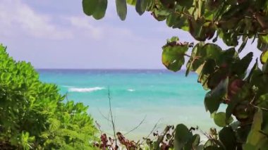 Playa del Carmen Meksika 'da berrak turkuaz mavi suyu ve palmiye ağaçları olan tropik Meksika Karayip sahili manzarası..