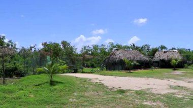 Playa del Carmen Quintana Roo Meksika 'daki Karayipler sahilinde palmiye ağaçları olan tropikal ormandaki ahşap kulübeler..