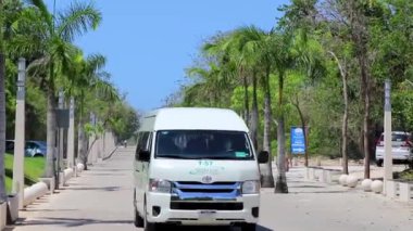 Luis Donaldo Colosio Playa del Carmen Quintana Roo Meksika 'daki tropikal palmiye ağaçlarının altında yaya geçidi yolu.