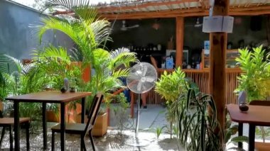 Playa del Carmen Quintana Roo Mexico 'da masa sandalyeleri dekorasyon masası ve bitkilerle dolu bir restoran barının içinde..