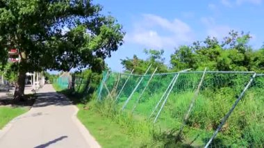 Karayip Playa del Carmen Quintana Roo Meksika 'daki bitki ve palmiye ağaçları arasındaki doğa ormanında tropik doğal yürüyüş yolu..