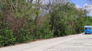 Playa del Carmen Quintana Roo Meksika 'da Meksikalı kamyon nakliye aracı.