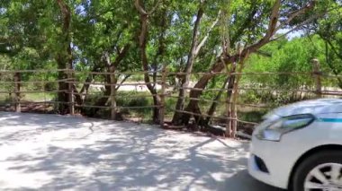 Playa del Carmen Quintana Roo Meksika 28 numara. Mayıs 2021 Playa del Carmen Quintana Roo Meksika 'da beyaz turkuaz taksi durağı..