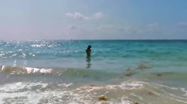 Seksi bayan güzel kadın küçük köpeğiyle yüzüyor Playa del Carmen Quintana Roo Mexico 'daki tropik Meksika Karayip plajında.