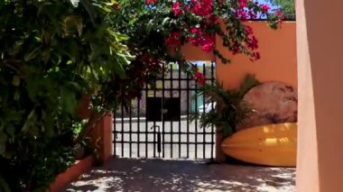 Playa del Carmen Quintana Roo Meksika 'da pembe tropikal çiçekli güzel siyah kafes kapısı girişi.