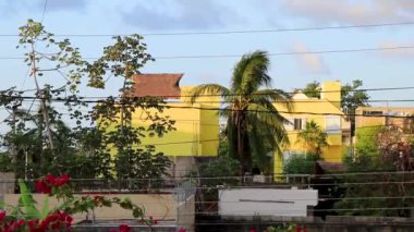 Playa del Carmen Quintana Roo Meksika 'daki tropikal sokak palmiyeleri ve şehir manzaralı balkon terasından manzara.