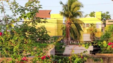 Playa del Carmen Quintana Roo Meksika 'daki tropikal sokak palmiyeleri ve şehir manzaralı balkon terasından manzara.