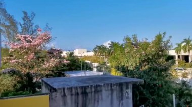 Playa del Carmen Quintana Roo Meksika 'daki tropikal sokak palmiyeleri ve şehir manzaralı balkon terasından manzara.