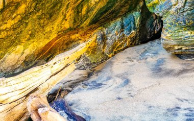 Güzel Pasifik Okyanusu sahili kıyısı ve sahili kayalıklarda ağaç gövdesi dalları Zicatela Puerto Escondido Oaxaca 'da kayalar..