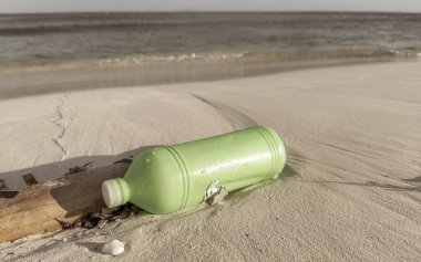 Playa del Carmen Quintana Roo Meksika 'daki Karayipler sahilinde yıkanmış yeşil plastik şişe ve odun..