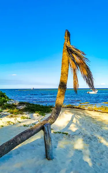 stock image Tropical mexican caribbean beach and sea with people sun loungers parasols resort turquoise water and waves in Playa del Carmen Quintana Roo Mexico.