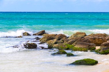 Taşlar, Playacar Playa del Carmen Quintana Roo Meksika 'daki Karayipler sahilinde turkuaz yeşil ve mavi sularda kayalar sallıyor..