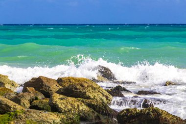 Taşlar, Playacar Playa del Carmen Quintana Roo Meksika 'daki Karayipler sahilinde turkuaz yeşil ve mavi sularda kayalar sallıyor..