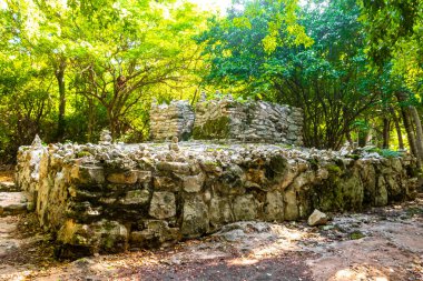 Xaman Ha Maya arkeolojik inşaat tapınakları Playacar Playa del Carmen Quintana Roo 'daki kireçtaşı kaya taşlarından yapılmış binalar..