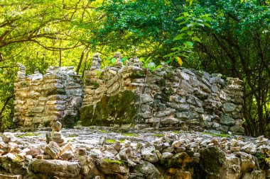 Xaman Ha Maya arkeolojik inşaat tapınakları Playacar Playa del Carmen Quintana Roo 'daki kireçtaşı kaya taşlarından yapılmış binalar..