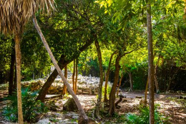 Xaman Ha Maya arkeolojik inşaat tapınakları Playacar Playa del Carmen Quintana Roo 'daki kireçtaşı kaya taşlarından yapılmış binalar..