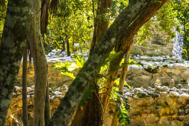 Xaman Ha Maya arkeolojik inşaat tapınakları Playacar Playa del Carmen Quintana Roo 'daki kireçtaşı kaya taşlarından yapılmış binalar..