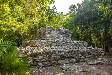 Xaman Ha Maya arkeolojik inşaat tapınakları Playacar Playa del Carmen Quintana Roo 'daki kireçtaşı kaya taşlarından yapılmış binalar..