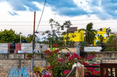 Playa del Carmen Quintana Roo Meksika 'daki tropikal sokak palmiyeleri ve şehir manzaralı balkon terasından manzara.