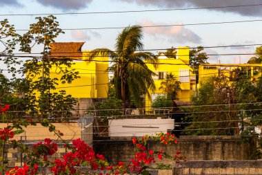 Playa del Carmen Quintana Roo Meksika 'daki tropikal sokak palmiyeleri ve şehir manzaralı balkon terasından manzara.