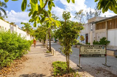 Palmiye ağaçlarıyla dolu tipik yaya yolu ve şehir manzarası mimari banklar ve Luis Donaldo Colosio 'nun Playa del Carmen Quintana Roo Meksika' daki duvar resimleri..