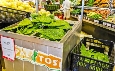 Meksika kaktüsü süpermarkette yemek için dilimlenmiş Playa del Carmen Meksika.