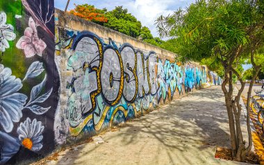 Playa del Carmen Meksika sokaklarında resimler, grafiti sanatı ve sembollerle dolu sanatsal duvarlar..