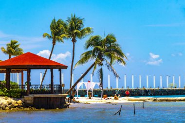 Playa del Carmen Quintana Roo Meksika 05. Mayıs 2023 Constituyentes rıhtımındaki tropik Meksika karayip sahili manzarası mercan taşları kayalar ve berrak turkuaz mavi su..