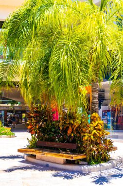 La Quinta Avenida 'nın tipik sokak yolu ve şehir manzarası restoran dükkanları insanların hatıralarını ve binalarını Playa del Carmen Quintana Roo Mexico' da saklıyor..