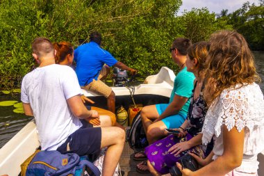 People at boat safari trip through mangrove jungle forest in Bentota Ganga River Lake in Bentota Beach Galle District Southern Province Sri Lanka. clipart