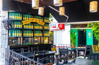 Playa del Carmen Quintana Roo Mexico 'da masa sandalyeleri dekorasyon masası ve bitkilerle dolu bir restoran barının içinde..