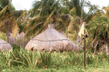 Playa del Carmen Quintana Roo Mexico 'daki ziyaretçiler için Palapa çatı masaları ve şapkalar..