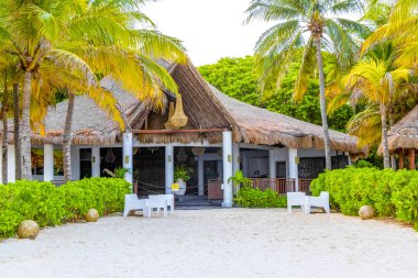Evler, Karayip sahillerindeki tropikal ormanlarda ahşap kulübeler ve Playa del Carmen Quintana Roo Meksika 'daki palmiye ağaçları..