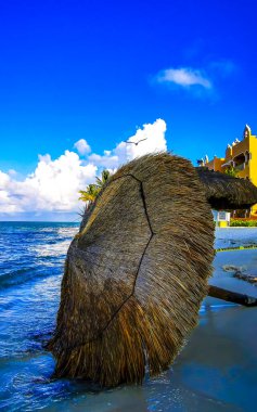 Overturned thatched palapa palapas after a storm on the beach in Playa del Carmen Quintana Roo Mexico. clipart